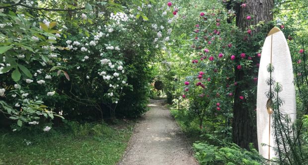 Roses at the Sculpture Park, Surrey